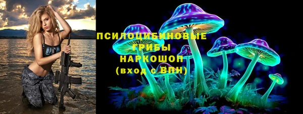 PSILOCYBIN Верея