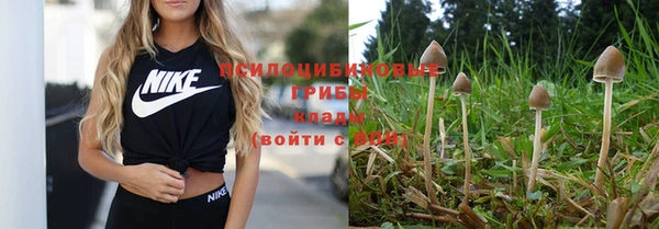 прущая мука Мегион