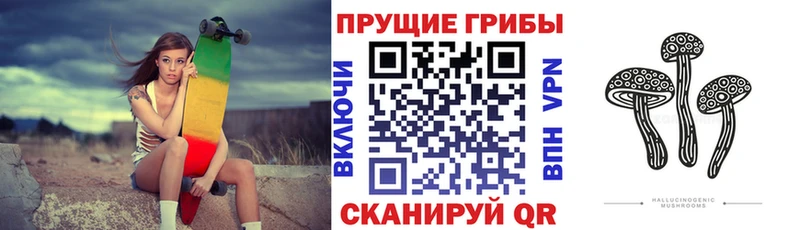 Псилоцибиновые грибы MAGIC MUSHROOMS  Кстово 
