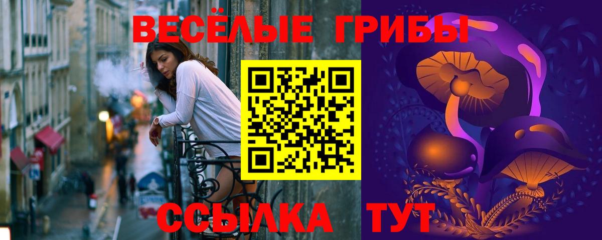 Галлюциногенные грибы GOLDEN TEACHER Кстово
